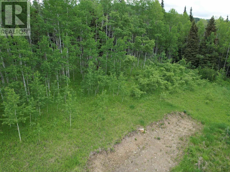 LOT-15 Mccarthy Road, Bridge Lake, BC, V0K 1X2 - 7