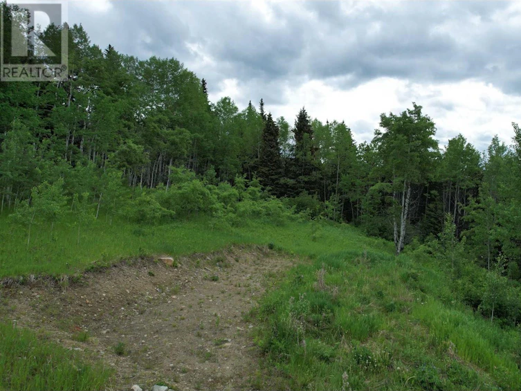 LOT-15 Mccarthy Road, Bridge Lake, BC, V0K 1X2 - 6