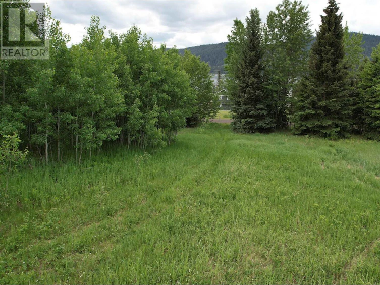 LOT-15 Mccarthy Road, Bridge Lake, BC, V0K 1X2 - 19
