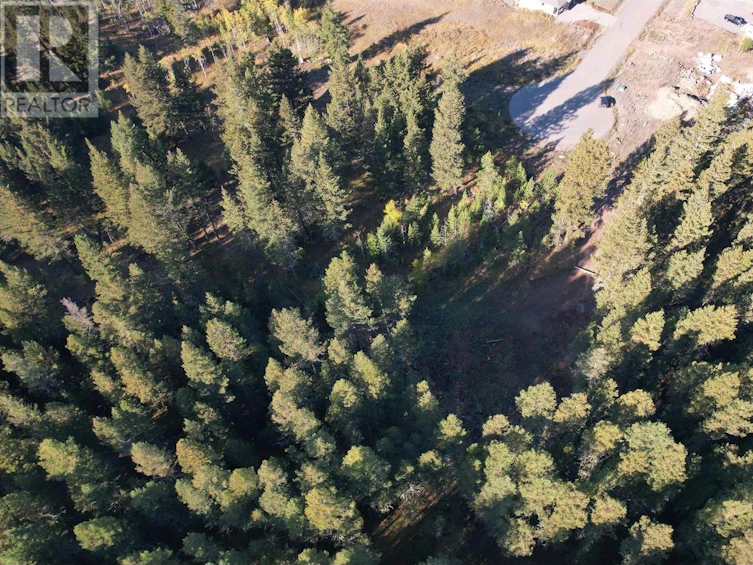 LOT-22 Blackstock Road, 100 Mile House, BC, V0K 2E1 - 6