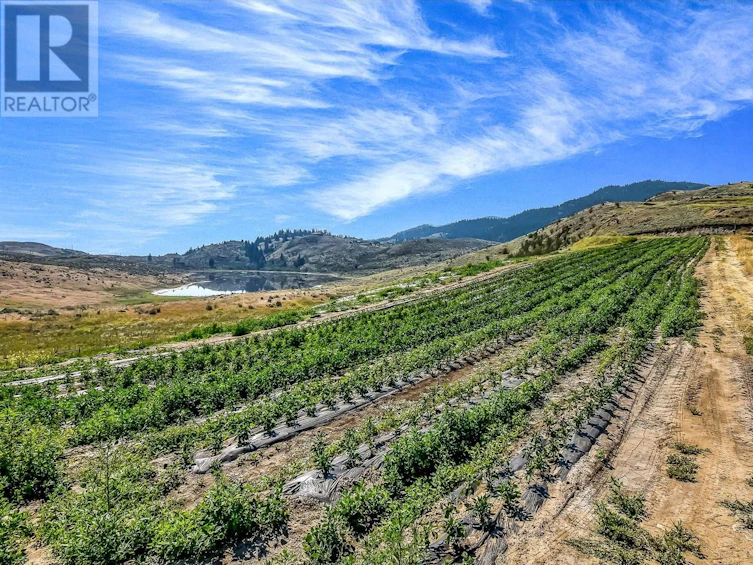 18255 3 Highway, Osoyoos, BC, V0H 1V5 - 2