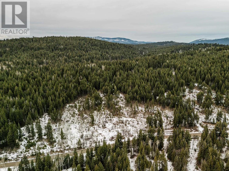 Lot-1 Ruth Lake Road, Forest Grove, BC, V0K 2E2 - 8