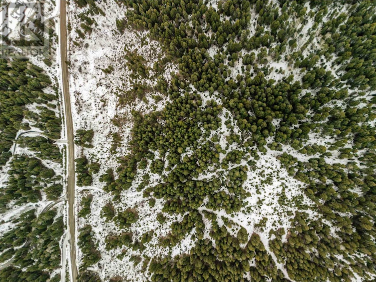 Lot-1 Ruth Lake Road, Forest Grove, BC, V0K 2E2 - 3