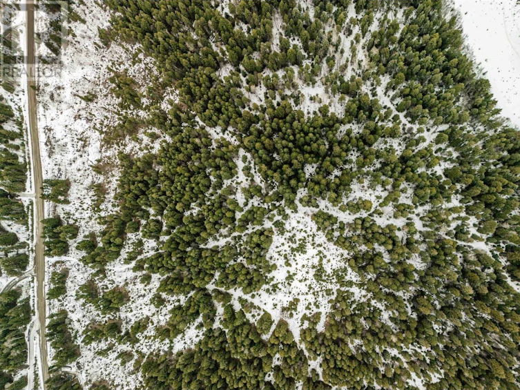Lot-1 Ruth Lake Road, Forest Grove, BC, V0K 2E2 - 4