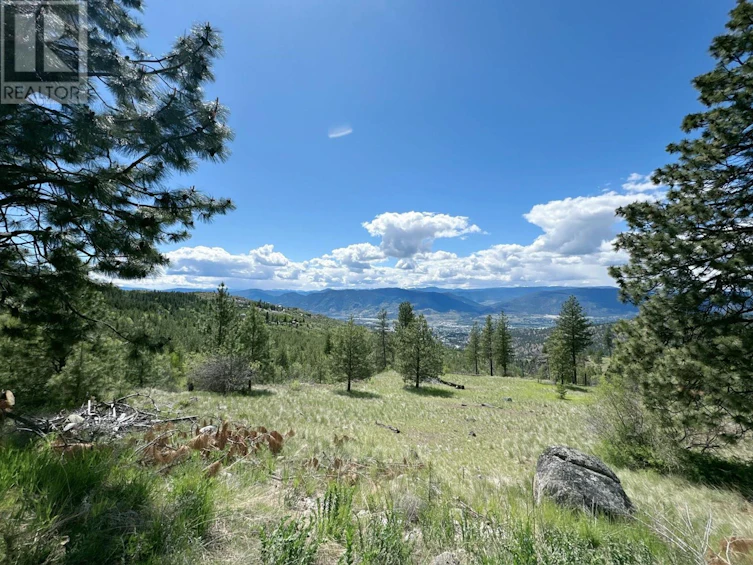 123 Bear End Road, Okanagan Falls, BC, V2A 8V6 - 17