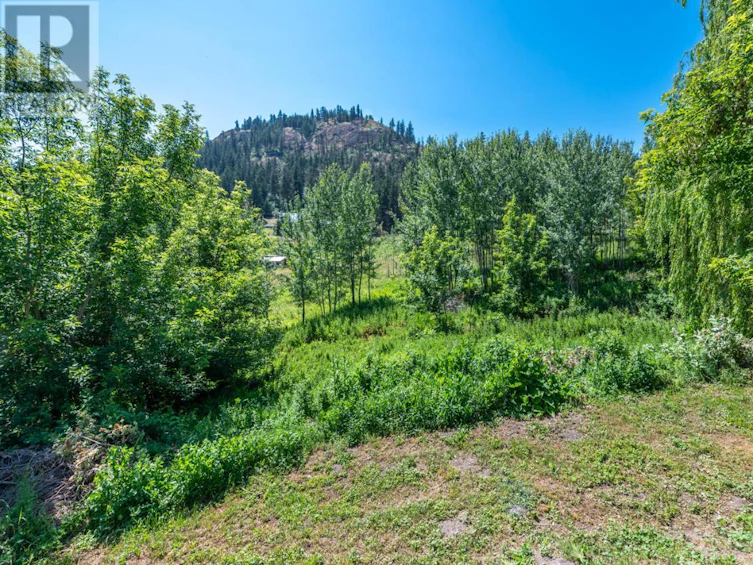 18740 Old Richter Pass Road, Osoyoos, BC, V0H 1V5 - 39