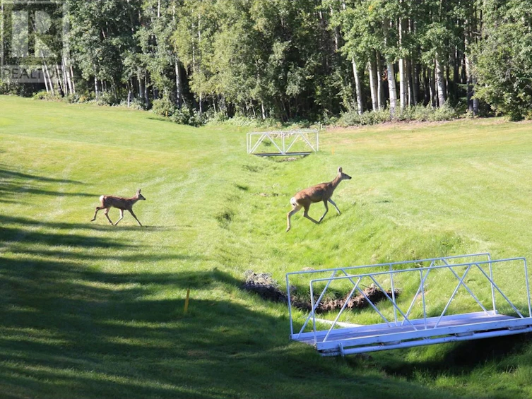 LOT-15 Paradise Street, Charlie Lake, BC, V0C 1H0 - 13