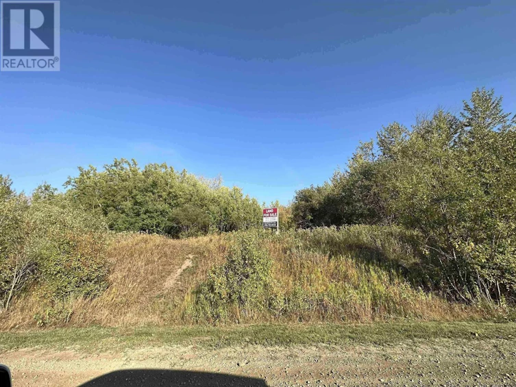LOT-16 Paradise Street, Charlie Lake, BC, V0C 1H0 - 5