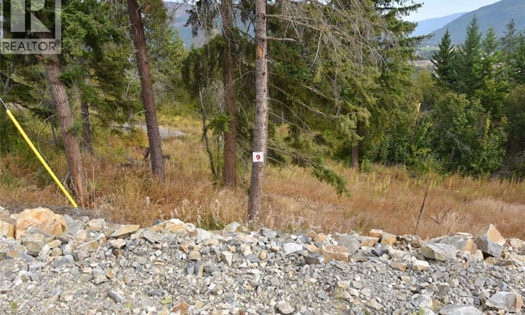201 Crooked Pine Road