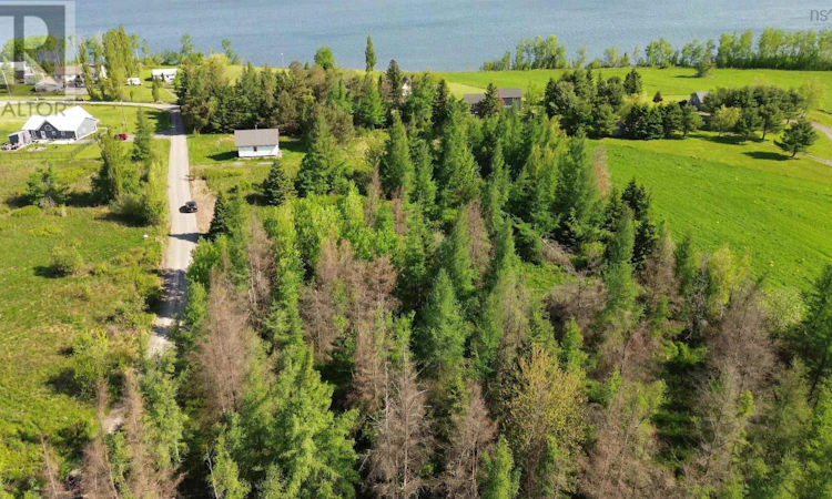 Lot-55 Appalosa Trail