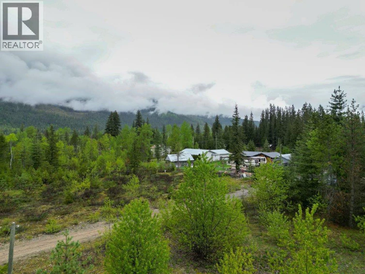4103 Balsam Way, Malakwa, BC, V0E 2J0 - 19