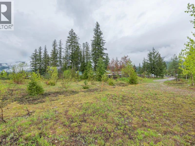 4103 Balsam Way - 3