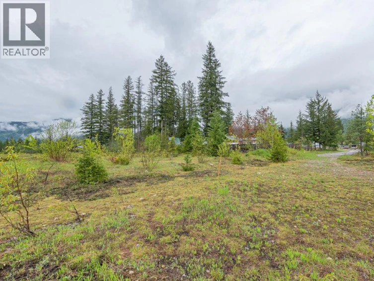4103 Balsam Way, Malakwa, BC, V0E 2J0 - 3