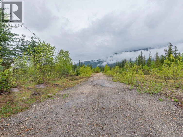 4103 Balsam Way, Malakwa, BC, V0E 2J0 - 8