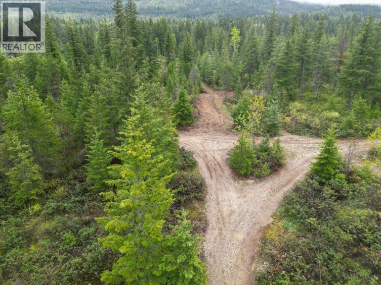 4103 Balsam Way, Malakwa, BC, V0E 2J0 - 49