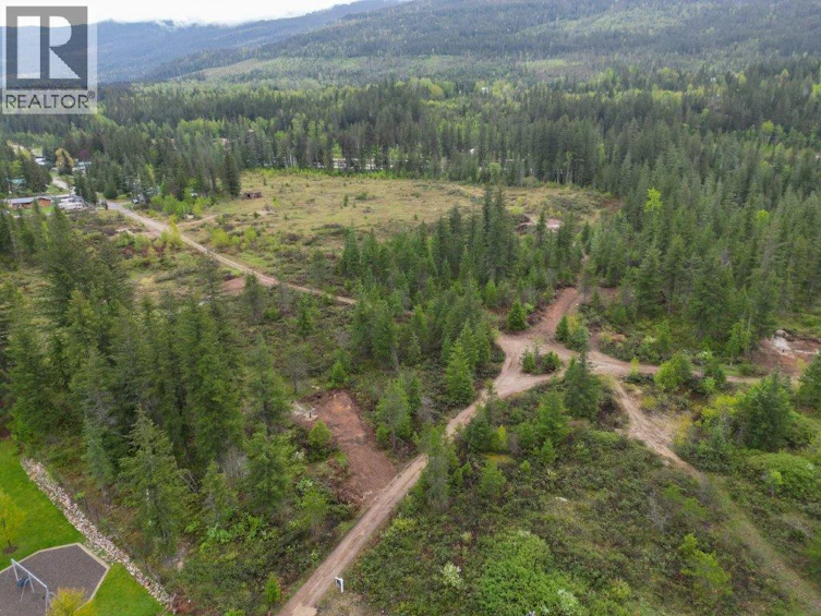 4103 Balsam Way, Malakwa, BC, V0E 2J0 - 50