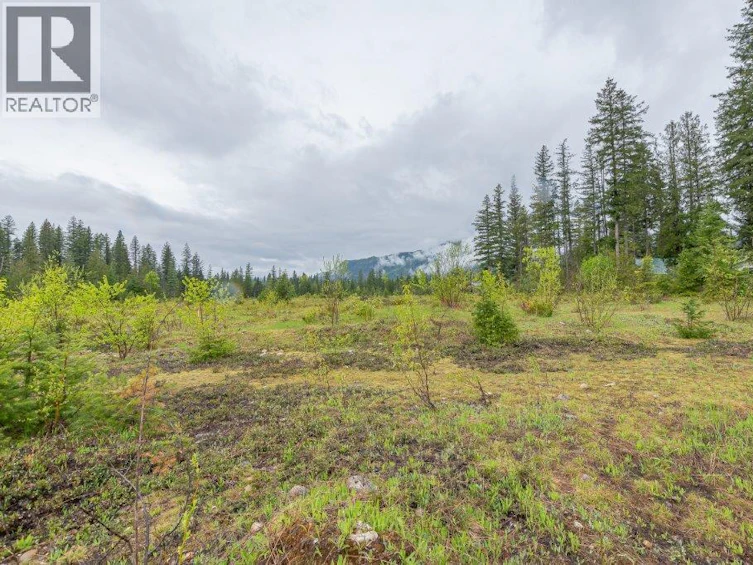 4103 Balsam Way, Malakwa, BC, V0E 2J0 - 7