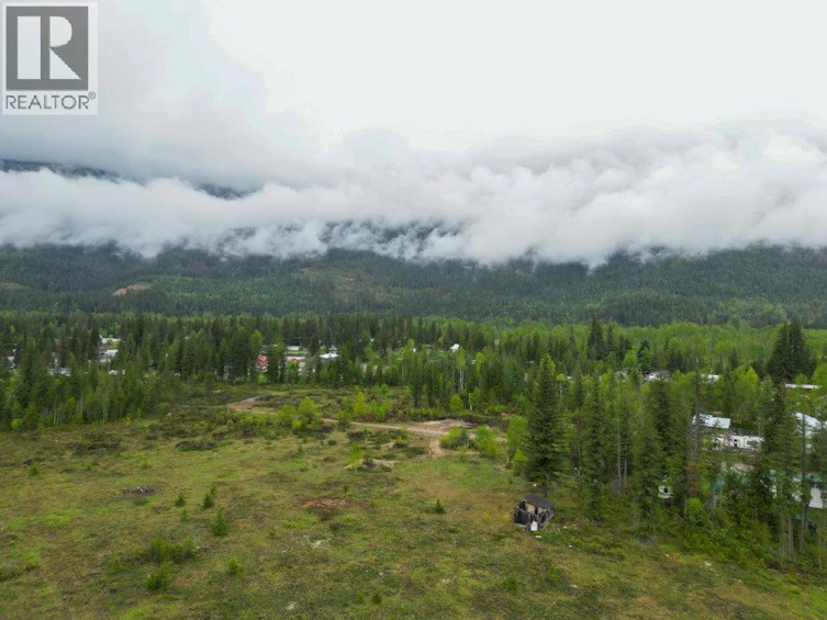 4103 Balsam Way, Malakwa, BC, V0E 2J0 - 23