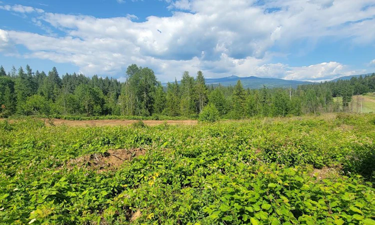 DL LOT 1-2620 Yellowhead Highway