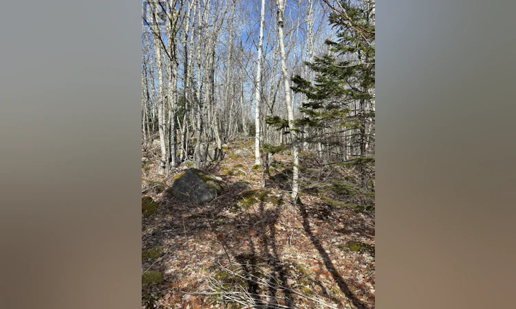 Lot-7 River Road North