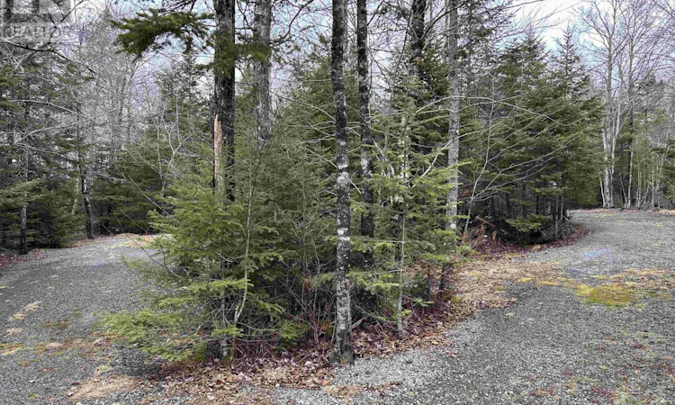 3410 Old Guysborough Road
