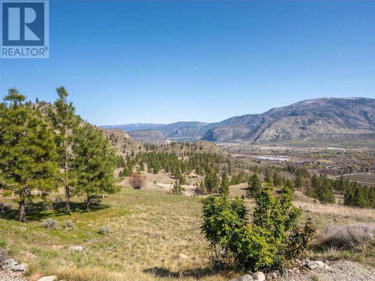 586 Wilson Mountain Road, Oliver, BC, V0H 1T5 - 87