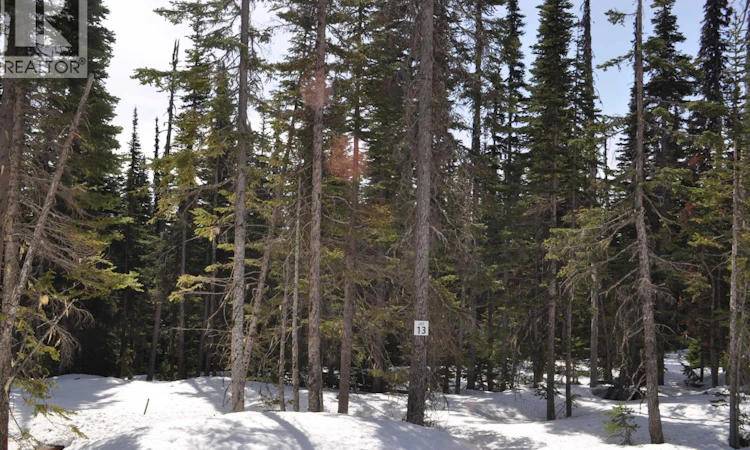 Pr. St Lt-13 Alpine Way