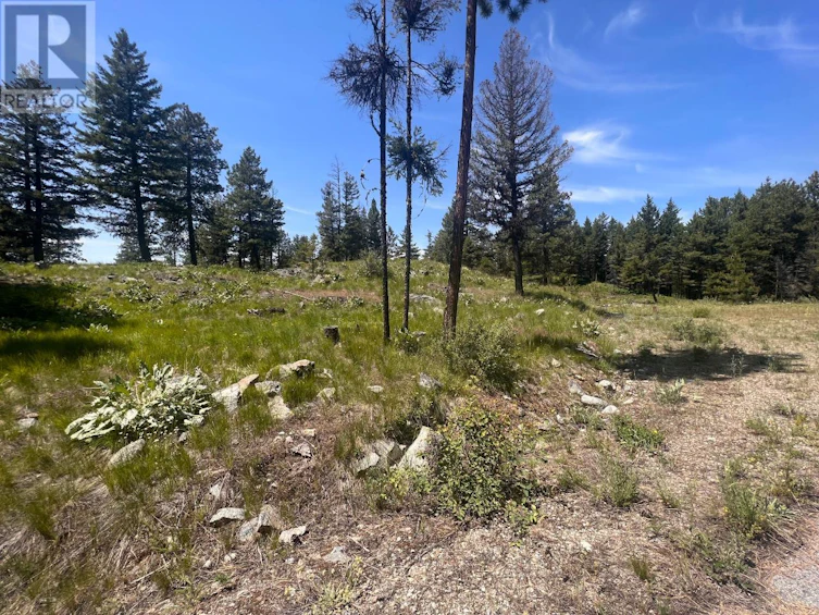 125 Sasquatch Trail, Osoyoos, BC, V0H 1V6
