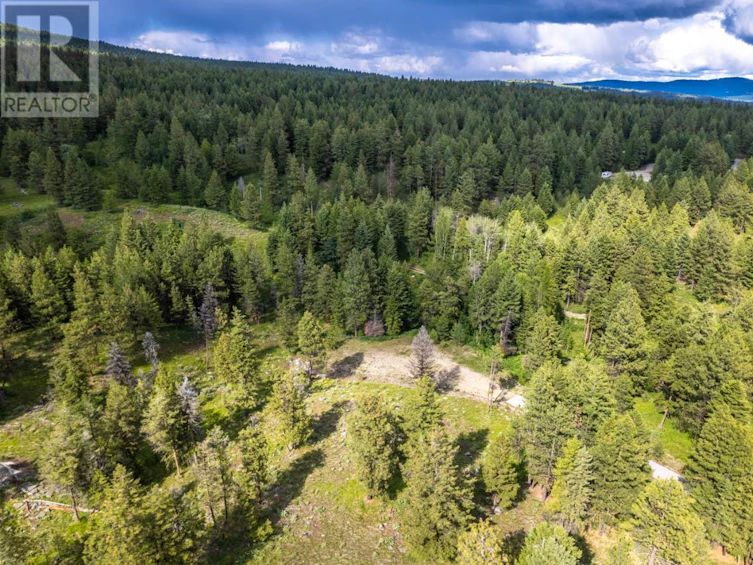 125 Sasquatch Trail, Osoyoos, BC, V0H 1V6 - 19