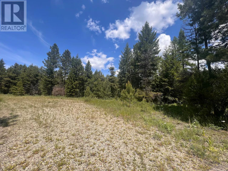125 Sasquatch Trail, Osoyoos, BC, V0H 1V6 - 3