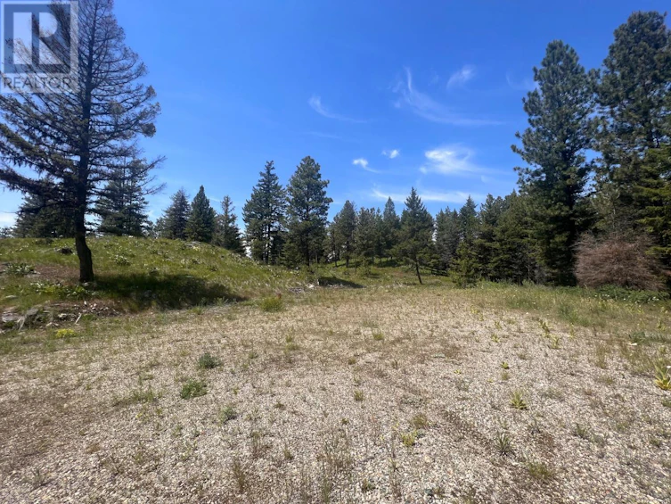 125 Sasquatch Trail, Osoyoos, BC, V0H 1V6 - 4