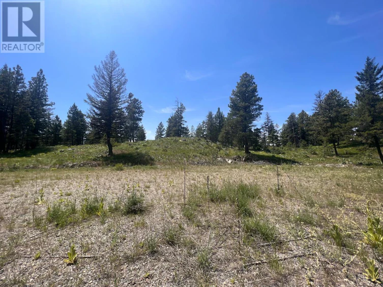 125 Sasquatch Trail, Osoyoos, BC, V0H 1V6 - 5