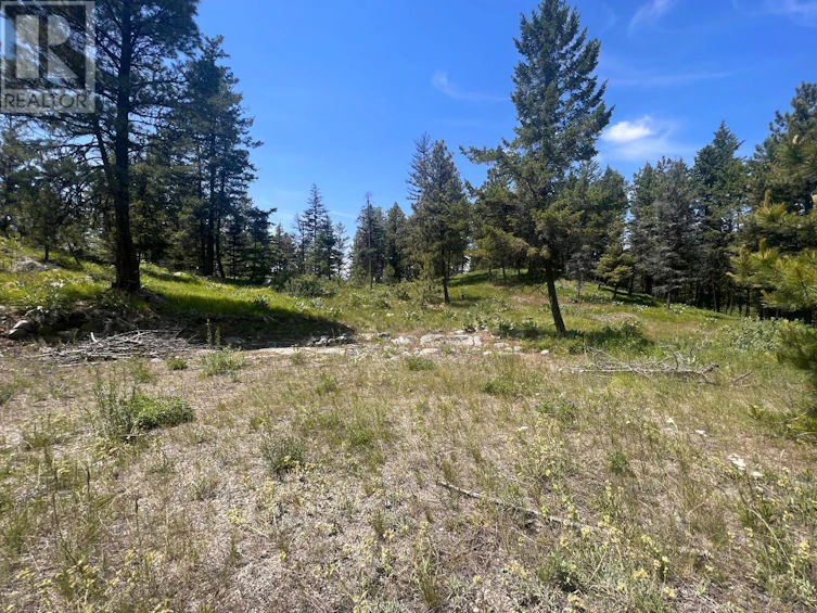 125 Sasquatch Trail, Osoyoos, BC, V0H 1V6 - 6