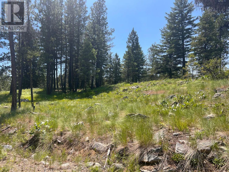 125 Sasquatch Trail, Osoyoos, BC, V0H 1V6 - 9
