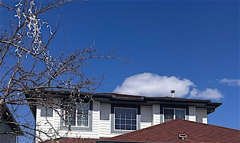 1906 37b Avenue NW, Edmonton, AB, T6T 1S5