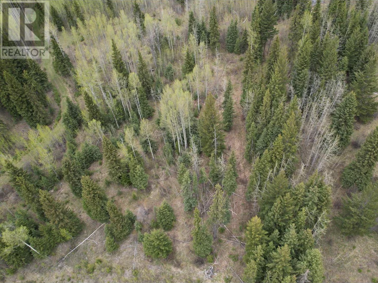 Lot-24 Cottage Lane, Bridge Lake, BC, V0K 1E0 - 5