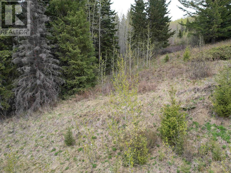 Lot-24 Cottage Lane, Bridge Lake, BC, V0K 1E0 - 17