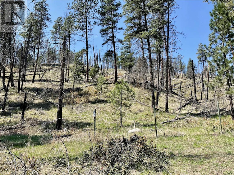 1715 33 Highway, Rock Creek, BC, V0H 1Y0 - 16