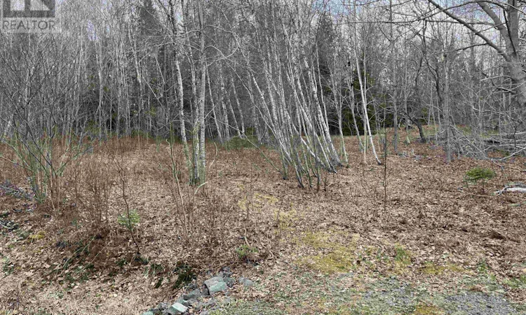 Lot-2 Sarty Road