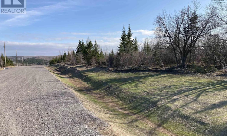 Lot 21-9 Mary Cecelia Ridge