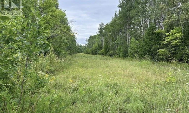 Lot-31 Cardwell Street