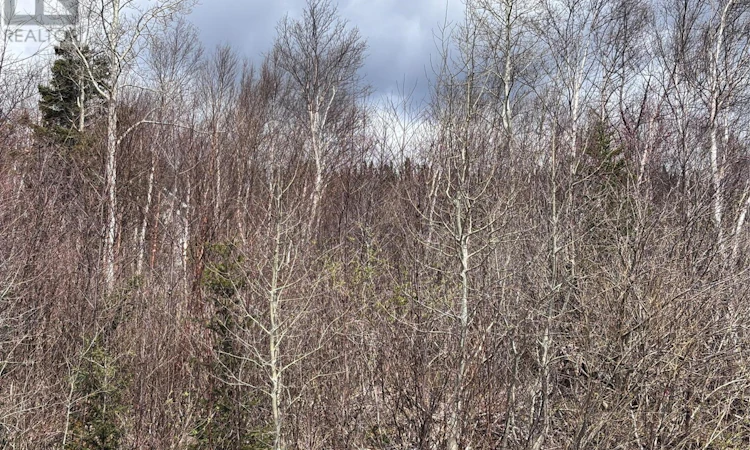 Lot-5 Glenview Estates Extension