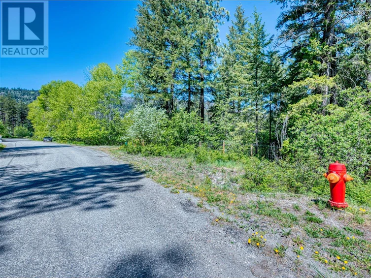 Lot-42 Alpine Road, Cherryville, BC, V1Z 3V4 - 7