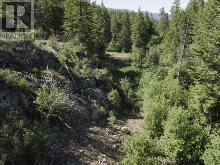 268 Grizzly Road, Osoyoos, BC, V0H 1V6 - 35
