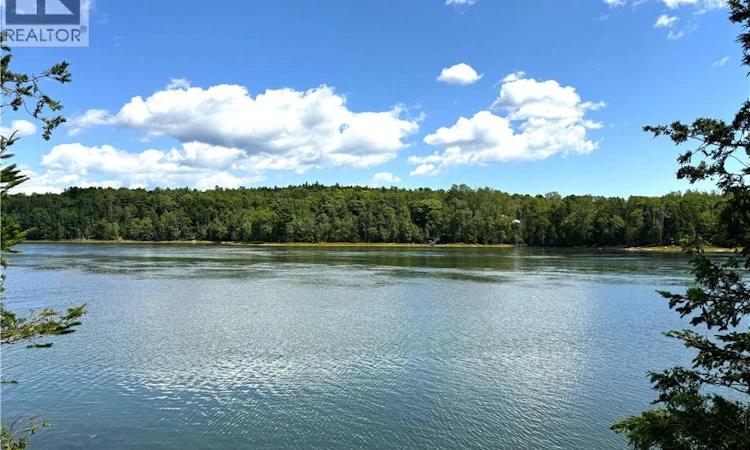 379 Hills Point Road