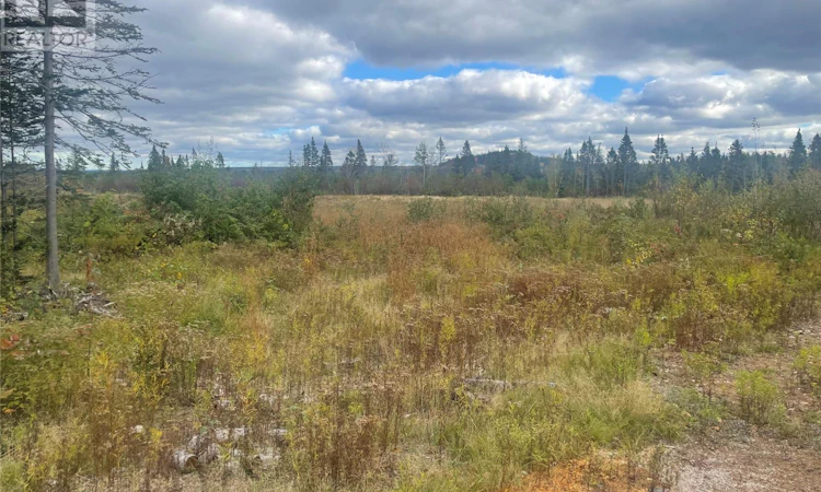 136333 Peter's Pond