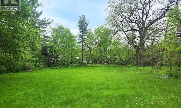 3787 Carp Road
