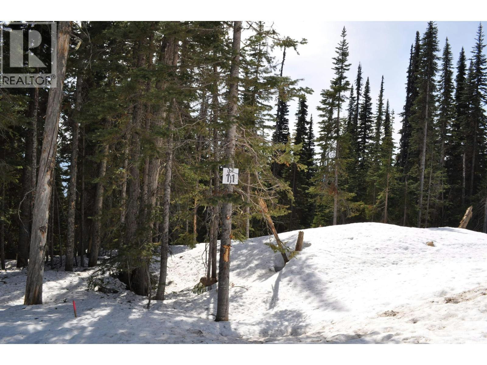 Pr. St Lt-11 Alpine Way, Smithers, BC, V0J 2N0