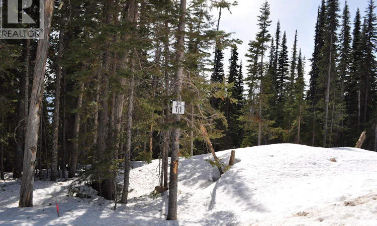 Pr. St Lt-11 Alpine Way