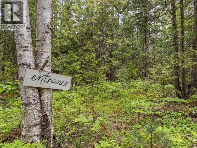 2885 White Lake Road, Sorrento, BC, V0E 2W0 - 62
